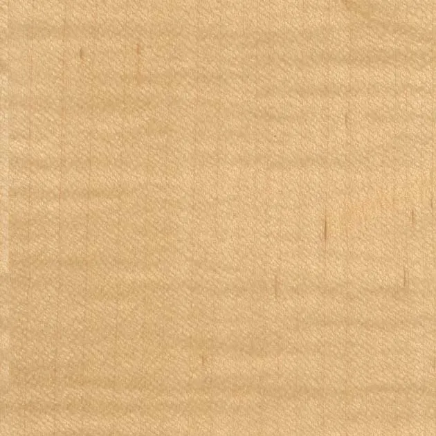 Giấy Dán Tường SGC176-L – WILL WOOD – Giấy dán tường veneer gỗ tự nhiên (2025-2028 FAITH) (mẫu vật liệu)