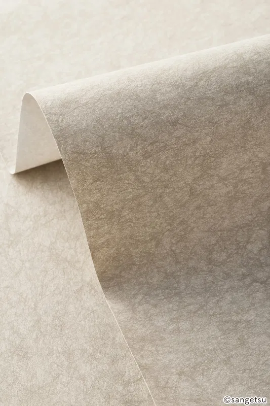 Giấy Dán Tường SGM1054 – 2025-2029 Texture & Material XSELECT (chất liệu cận cảnh)