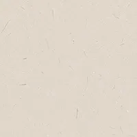 Giấy Dán Tường SGM1098 – 2025-2029 Texture & Material XSELECT (họa tiết lặp)