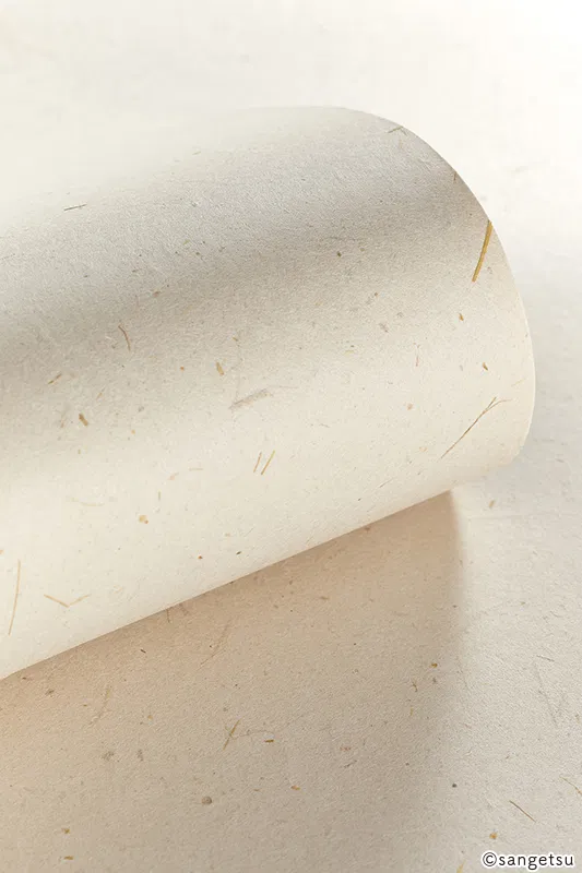 Giấy Dán Tường SGM1098 – 2025-2029 Texture & Material XSELECT (chất liệu cận cảnh)