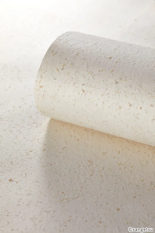 Giấy Dán Tường SGM1113 – Giấy washi sản xuất bằng máy (2025-2029 Texture & Material XSELECT) (chất liệu cận cảnh)