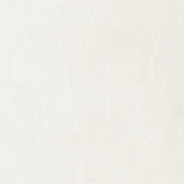 SGM1116 — ảnh 1
