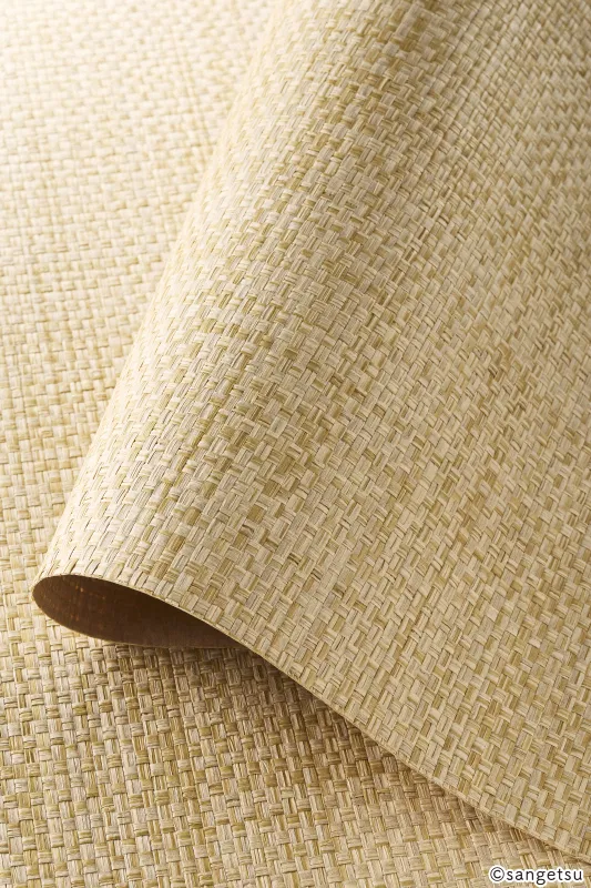 Giấy Dán Tường SGM1242 – 2025-2029 Texture & Material XSELECT (chất liệu cận cảnh)