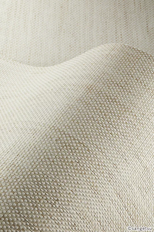 Giấy Dán Tường SGM1247 – 2025-2029 Texture & Material XSELECT (chất liệu cận cảnh)