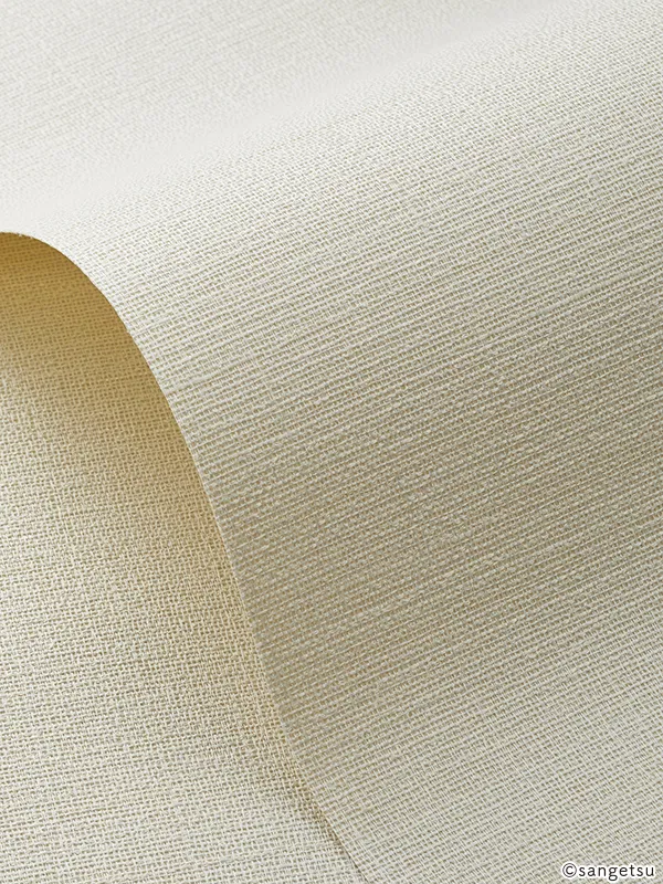 Giấy Dán Tường SGM1361 – 2025-2029 Texture & Material XSELECT (chất liệu cận cảnh)