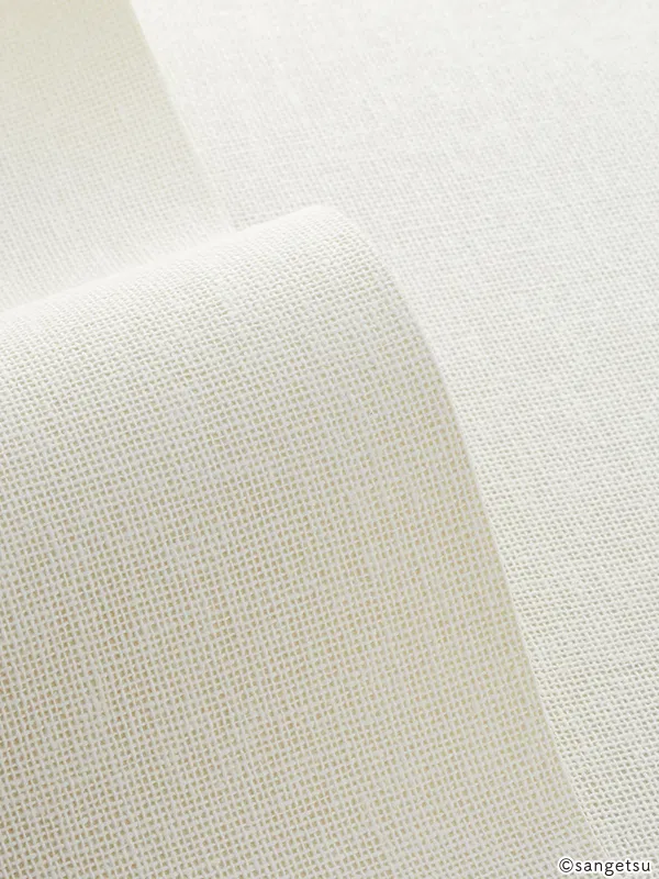 Giấy Dán Tường SGM1377 – 2025-2029 Texture & Material XSELECT (chất liệu cận cảnh)