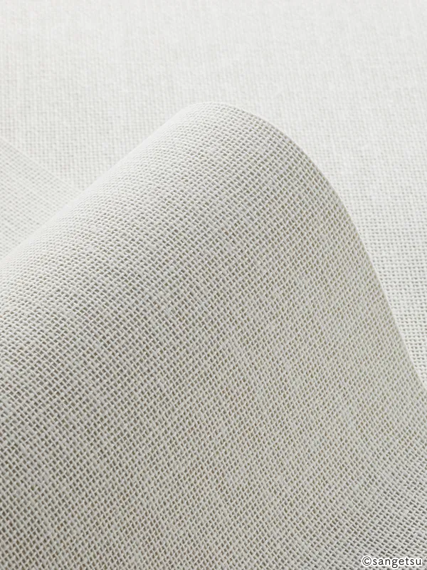 Giấy Dán Tường SGM1378 – 2025-2029 Texture & Material XSELECT (chất liệu cận cảnh)