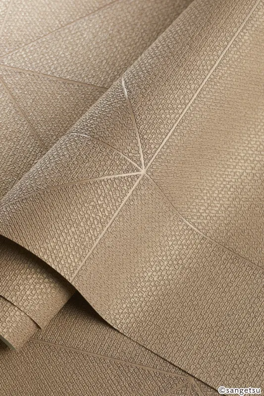 Giấy Dán Tường SGP1524 – 2025-2029 XSELECT – Thương Hiệu & Hoa Văn (Brand & Pattern) (chất liệu cận cảnh)
