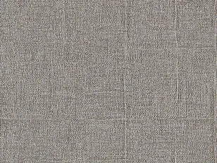 Giấy Dán Tường SGP1529 – 2025-2029 XSELECT – Thương Hiệu & Hoa Văn (Brand & Pattern) (họa tiết lặp)