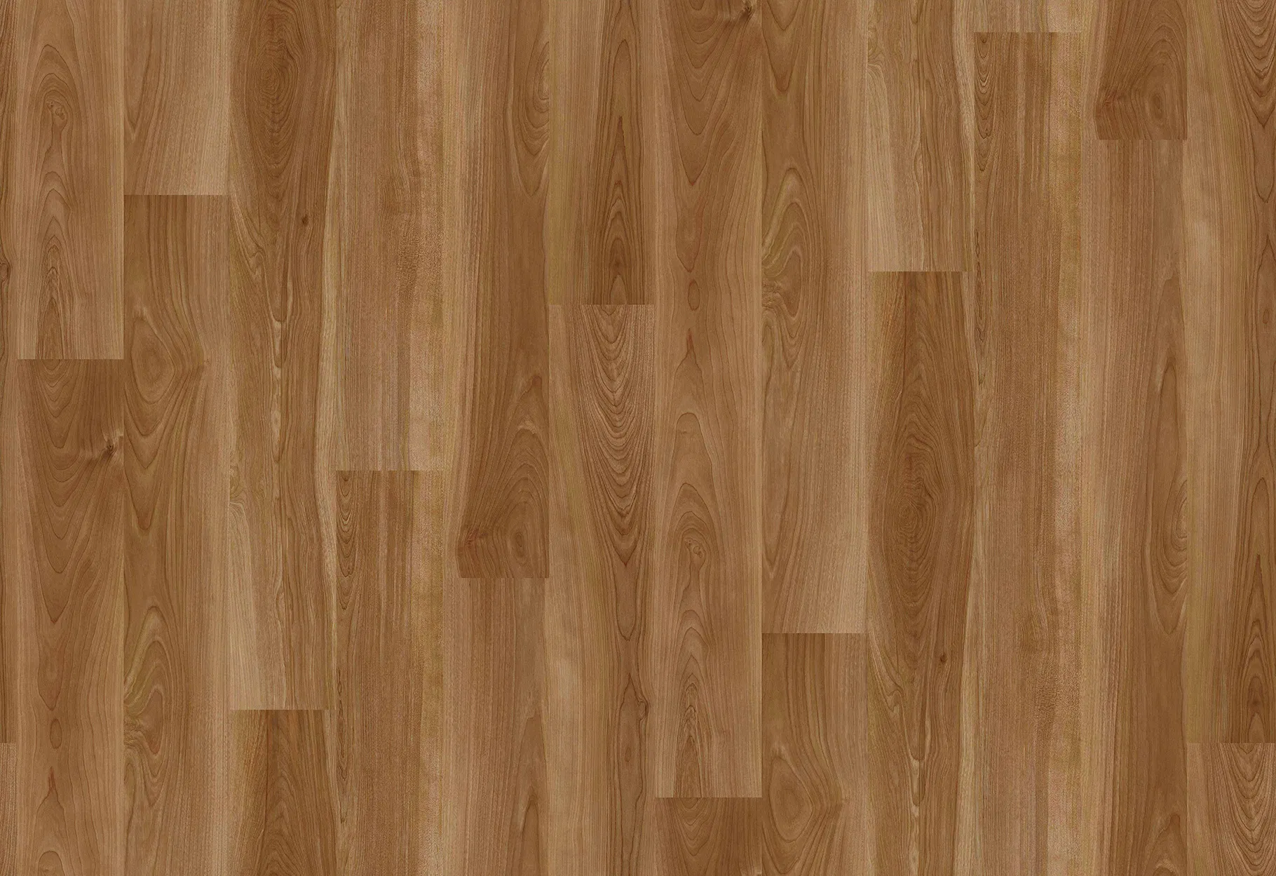 SK-24444 — ảnh 2