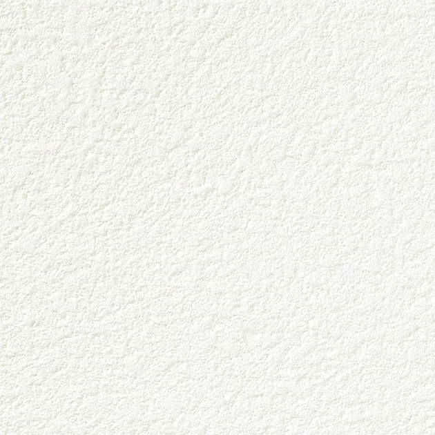 SP2505 — ảnh 4
