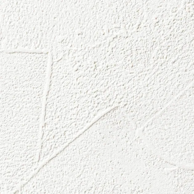 SP2575 — ảnh 4