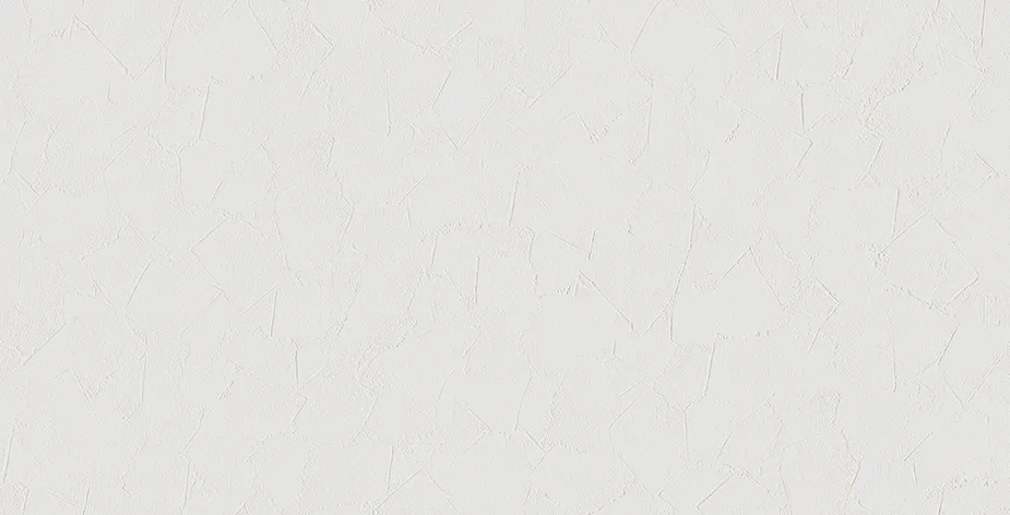 SP2575 — ảnh 5