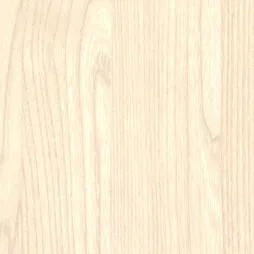 Film Trang Trí SW-76 – White Elm (bán sóng) (Belbien Super Real Wood)