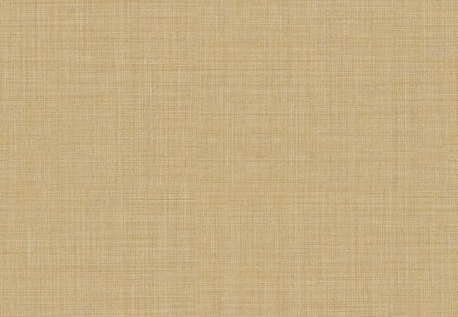 Giấy Dán Tường TH34509 – 2025-2028 FAITH (họa tiết lặp)