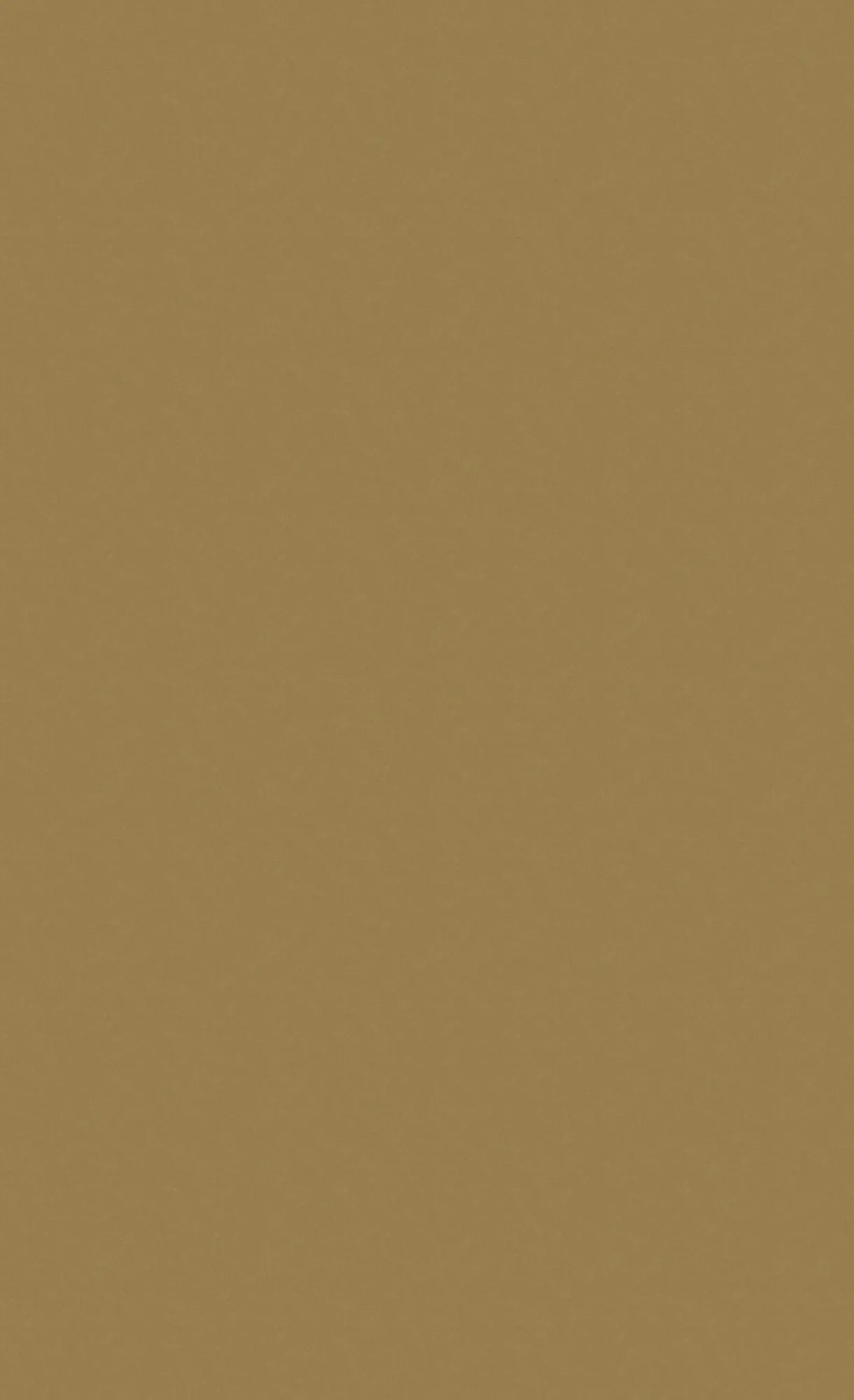 TR-4384 — ảnh 2