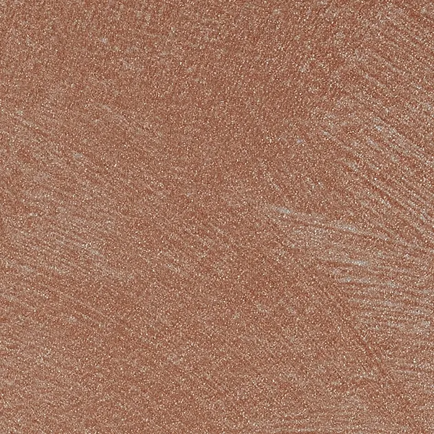TU-5664 — ảnh 3