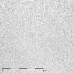 TX-020 – Precious White Enzu (Belbien Belbien Plastex)