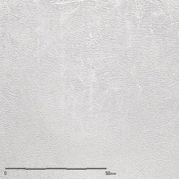 TX-022 – Misuti White Enzu (Belbien Belbien Plastex)