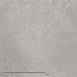 TX-026 – Silver Gureienzu (Belbien Belbien Plastex)