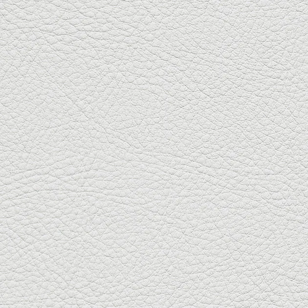 UP15009 – COLOR LEATHER 2023