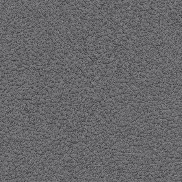 UP5002 – Color Leather (2024-2028 UP)