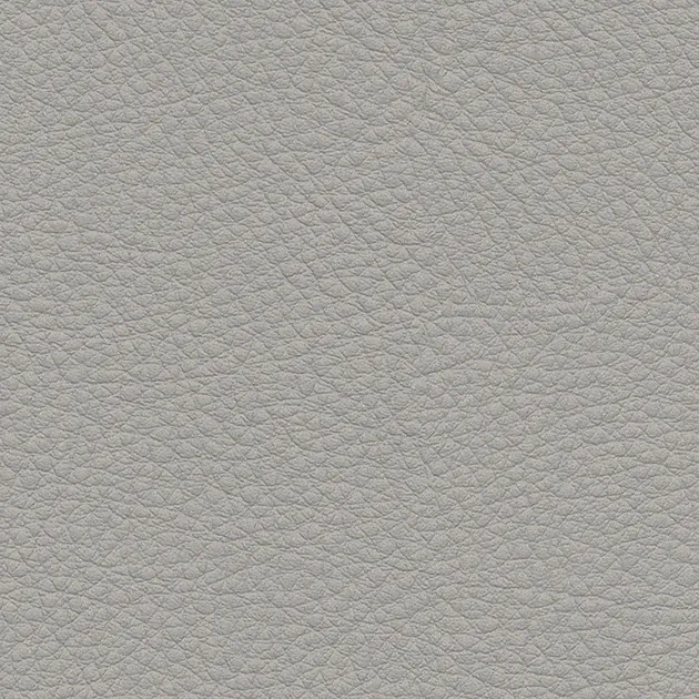 UP5004 – Color Leather (2024-2028 UP)