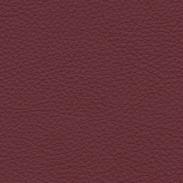 Vải Bọc Ghế UP5061 – Color Leather (2024-2028 UP) (mẫu vật liệu)