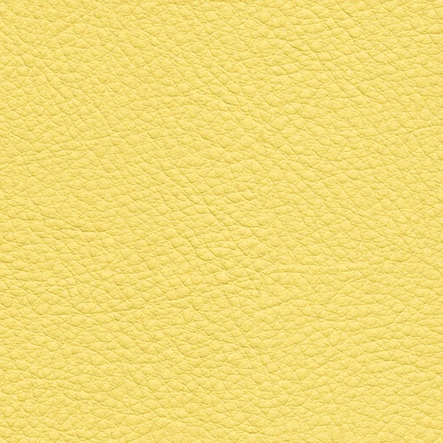 Vải Bọc Ghế UP5074 – Color Leather (2024-2028 UP) (mẫu vật liệu)