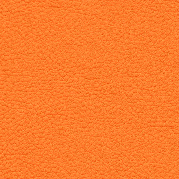 UP5083 — ảnh 1