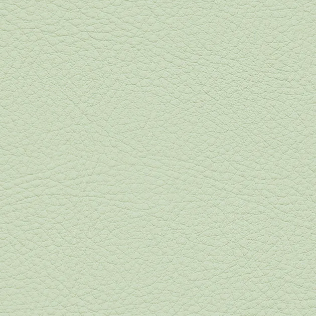 Vải Bọc Ghế UP5127 – Color Leather (2024-2028 UP) (mẫu vật liệu)