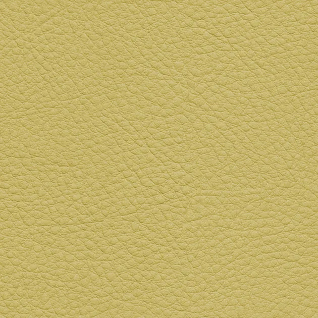 UP5144 — ảnh 1