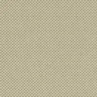 VB170 — ảnh 4