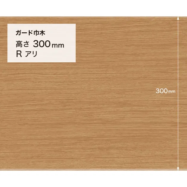 Ảnh W-160G