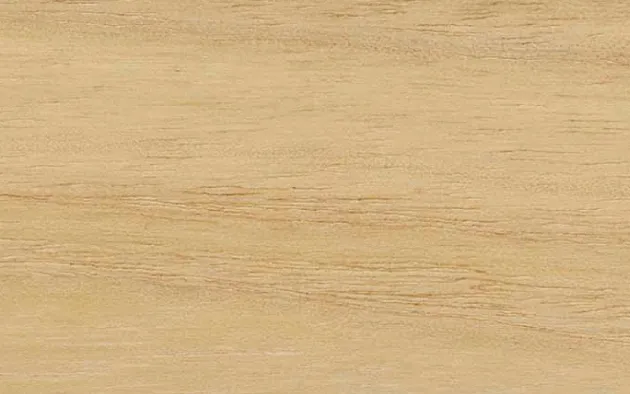 Rèm Cửa WB115 – Light Wood FR (Mành Cuốn & Rèm Sáo (RB Collection) Vol.1) (mẫu vật liệu)