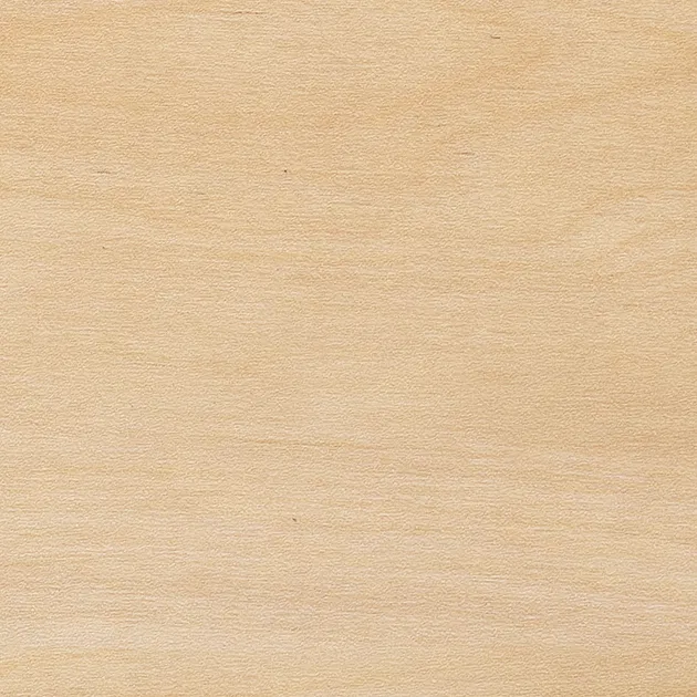 Sàn & Thảm WD-2092 – bạch dương Selena (2023-2026 Gạch Vinyl (Floor Tile)) (mẫu vật liệu)