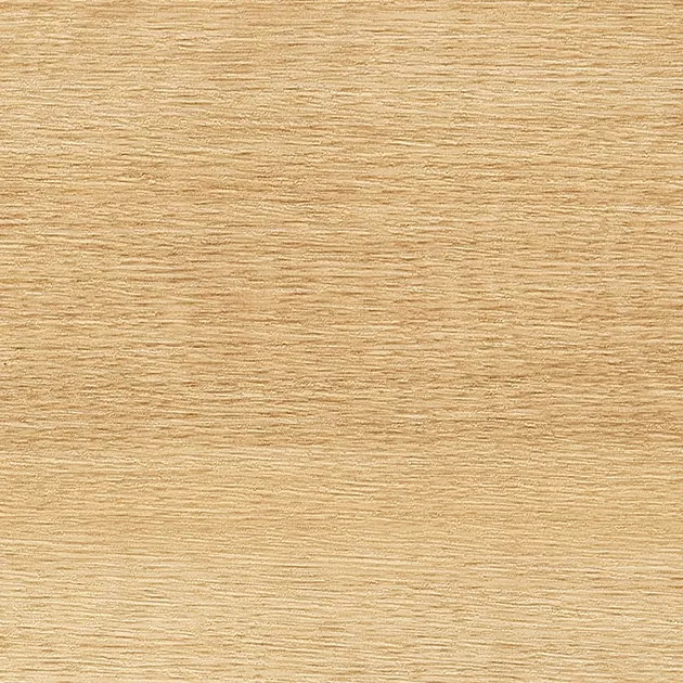 WD-8018 — ảnh 4